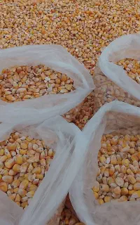 کارگر ساده