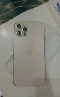 12pro