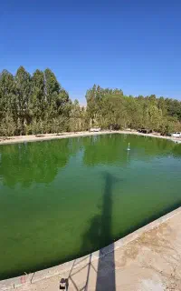 باشگاه ماهیگیری ..