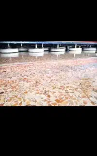 قالیشویی شیروانی