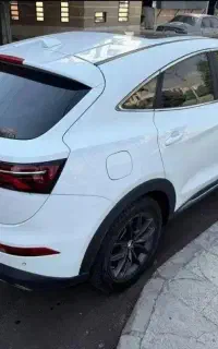 دیگنیتی سفید رنگ داخل مارون