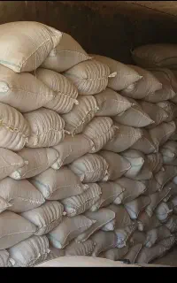 کاه نخود