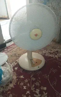 پنکه زمینی کاملاسالم وسرحال