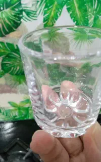 استکان قهوه پافیلی