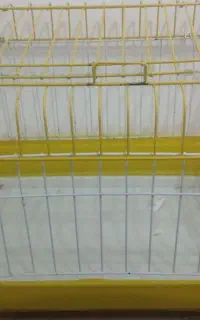 برای  خرگوش وهرچی