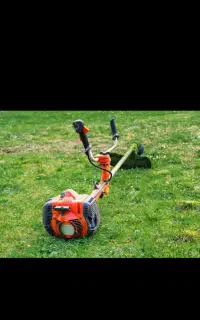 علف زن وچمن زن