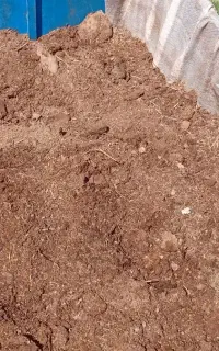 کود گوسفندی خشک