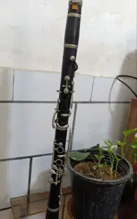 خریدار کلارینت ( کوک سل ) پرکلید