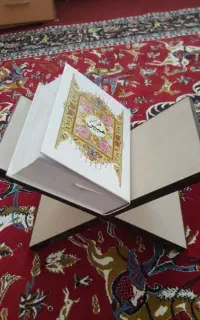 قرآن‌‌و‌‌فاتحه‌‌میخونم‌‌دوفزرندکوچکدارم‌