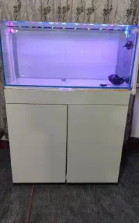 اکواریوم ریملس