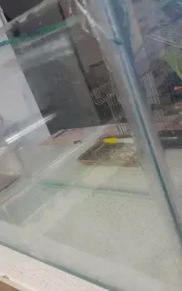 آکواریوم