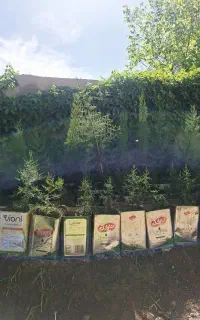 گرمی محله جوادیه انتهای خیابان گلسرا گرمی