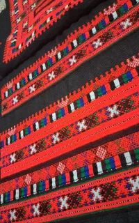 زی شش‌تاری زیر قیمت