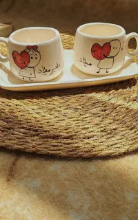 ظروف سرامیکی
