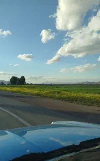 کارگر ساده