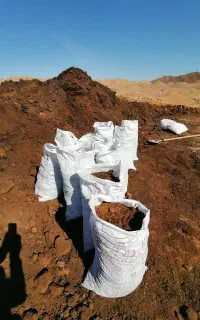 کود گوسفندی