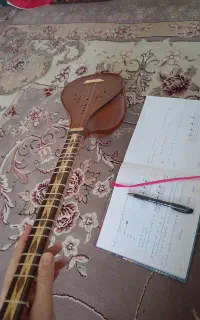درخواست مربی حرفه ای سه تار (خانوم)