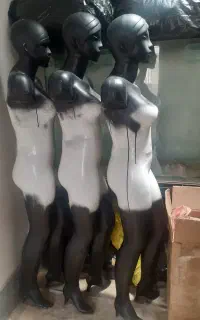 تعداد ۳ عدد مانکن زنانه