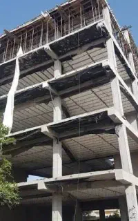 مجری ذیصلاح