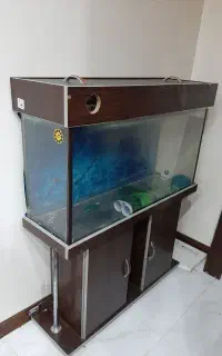 اکواریوم ام دی اف کمددار یک متری