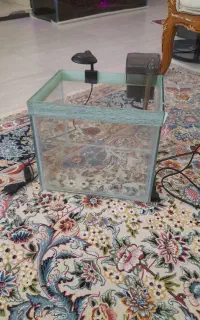 آکواریوم