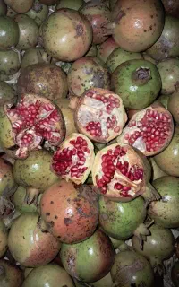 انار ترش محلی