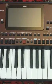 ارگ korg pa700