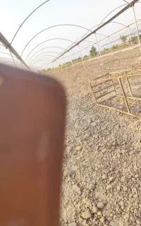 آهن گلخانه