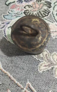 زنگوله