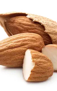 خرید بادام مامایی