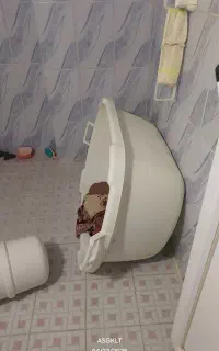 وان سایز بزرگ