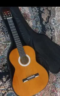 گیتار نو همراه با کیف