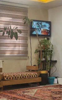 درختچه با قامت بزرگ