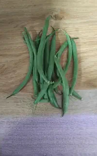 لوبیا سبز