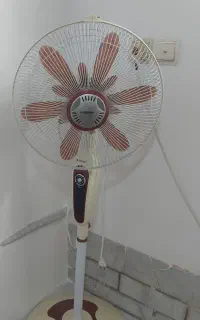 پنکه سانی
