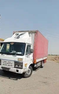 کاویان برزیلی.