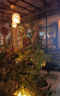 نیرو برای کار در کافه