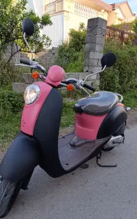 پاکشتی درحد