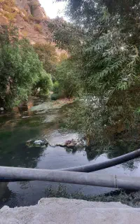 درخواست نظافت چی خانم