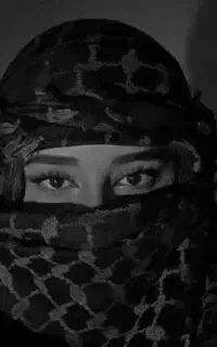 کلکسیون و سرگرمی