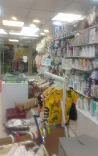 سیسمونی سپاهان بهار