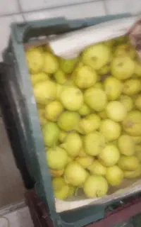 انجیر درجه یک