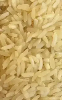 برنج خوشبوفجر گرگان