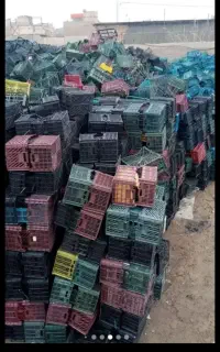 سبد میوه وکارتن موز