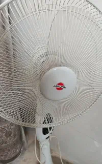 پنکه