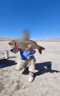 تور