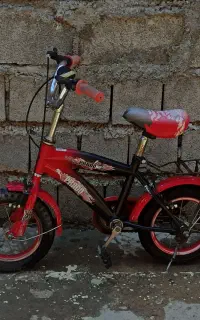 دچرخه