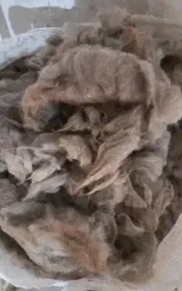 پشم گوسفند شسته نشده زیر قیمت