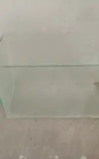آکواریوم