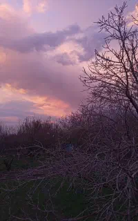 خریدار آب از قنات پایکم هستم